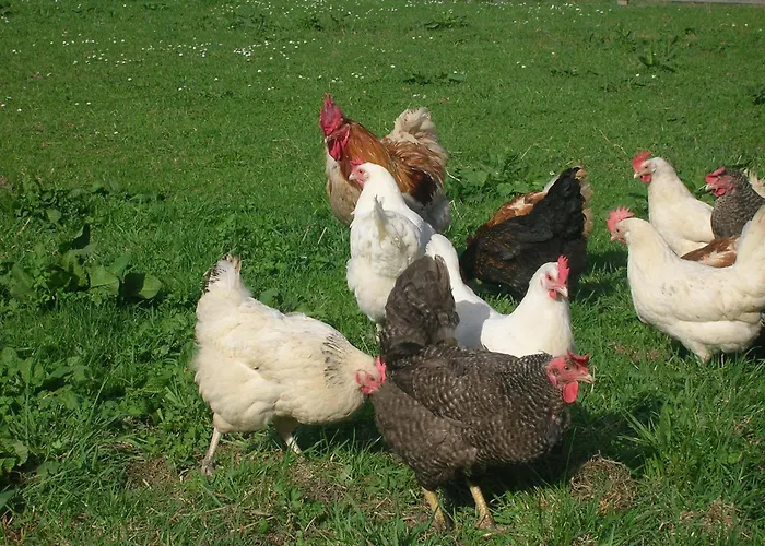 ゲストハウス Lindenhof キッツビュール